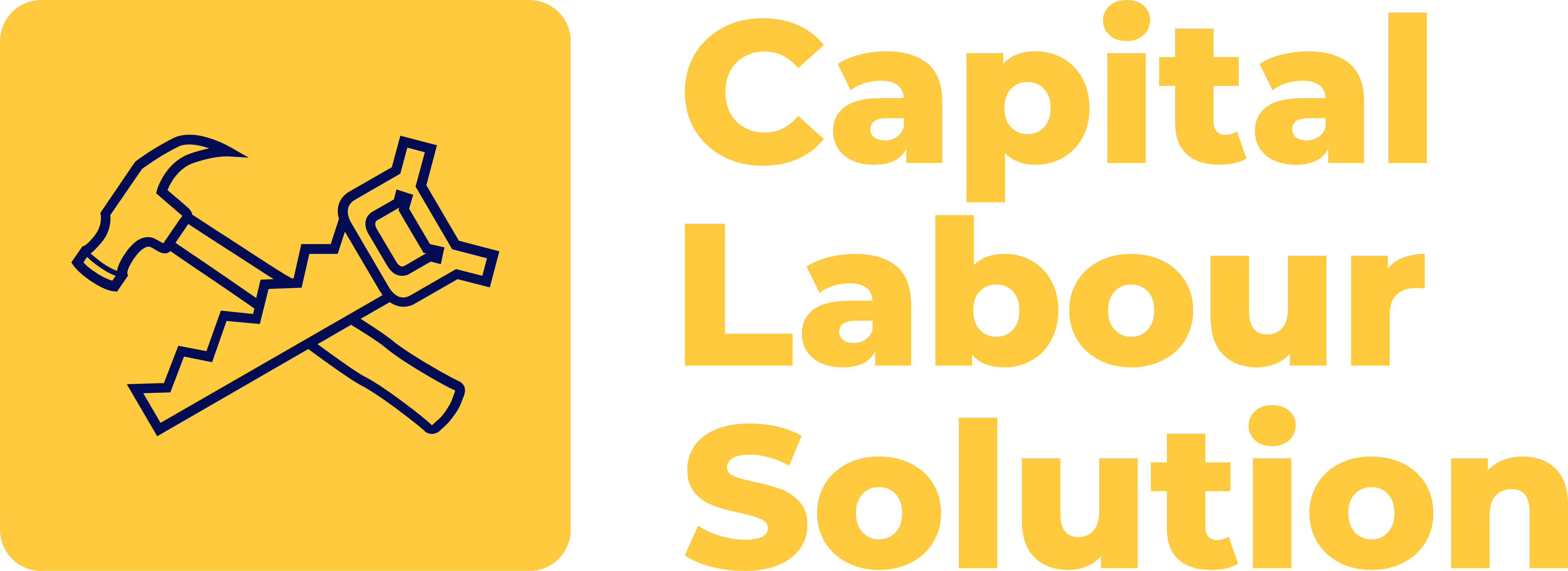Capital Labour Solution